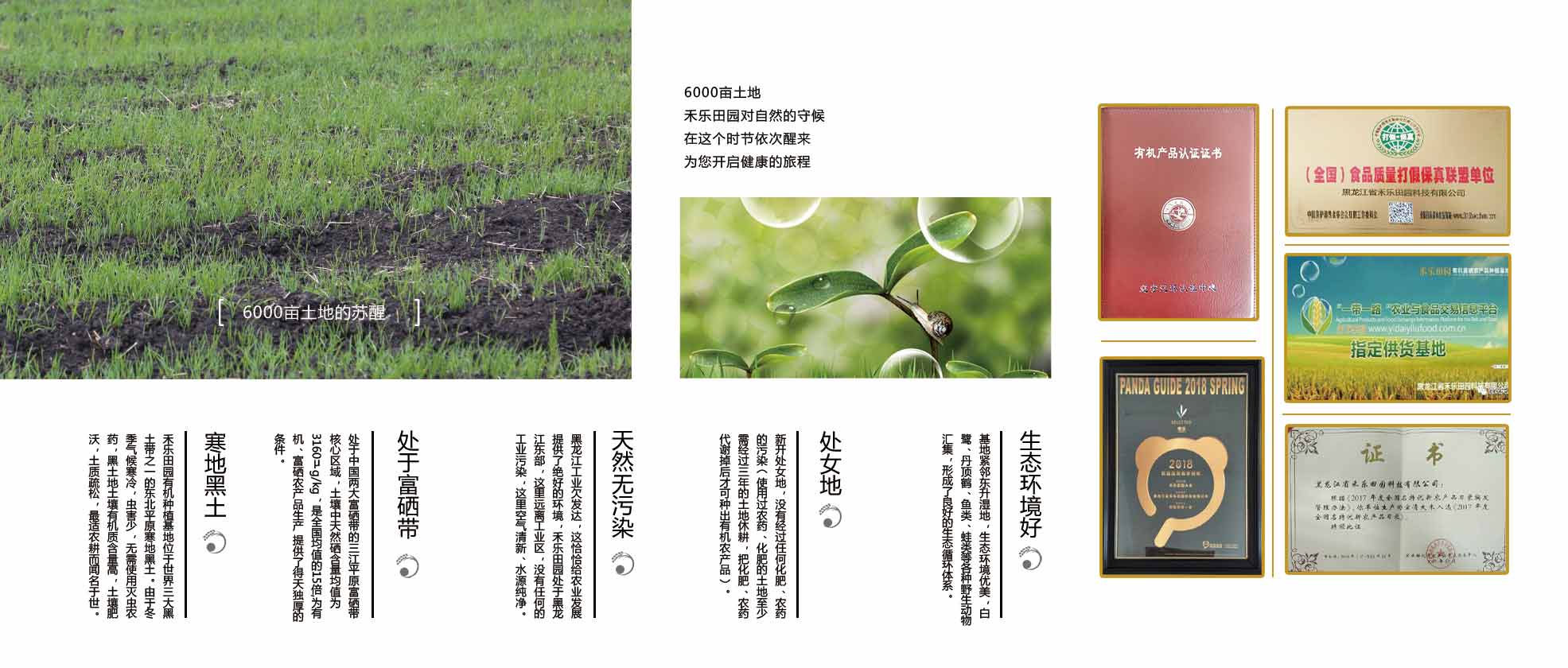 公司简介